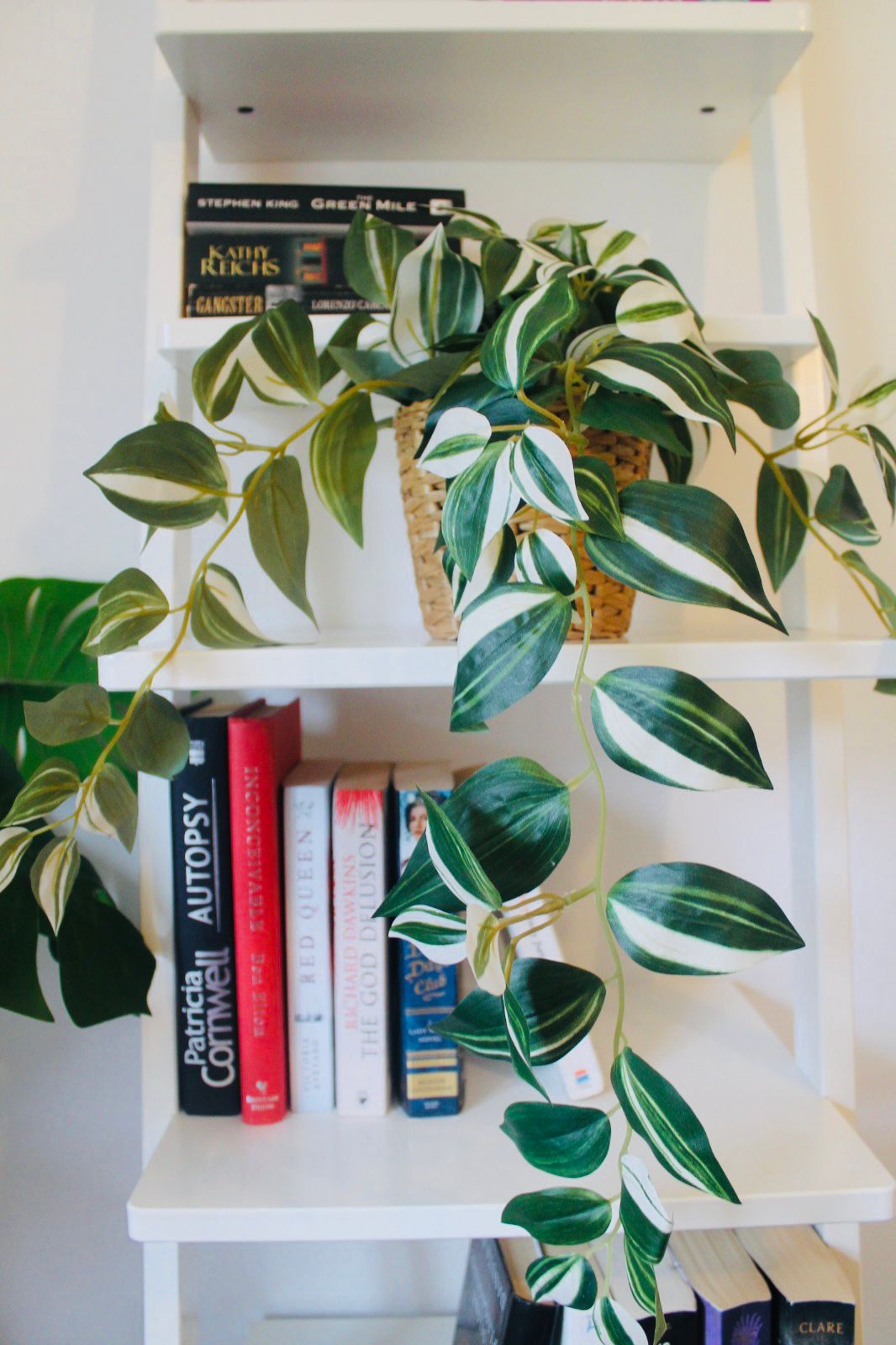 Bookshelf with plants