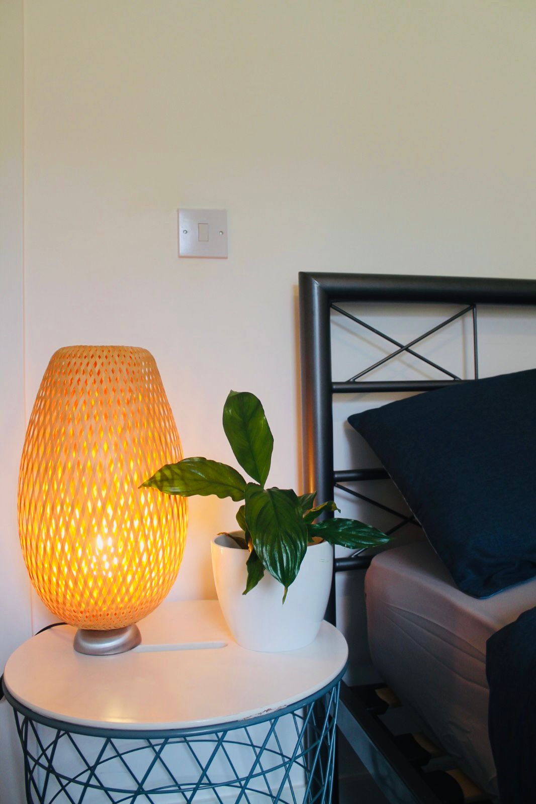 Bedside lamp and plant
